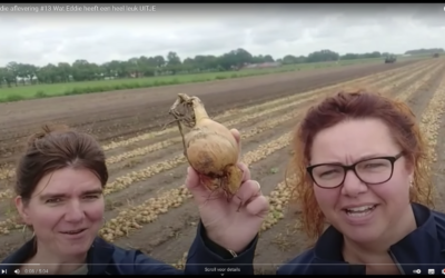 ‘Wat Eddie’ laat met vlogs zien hoe  het écht gaat in een boerenbedrijf